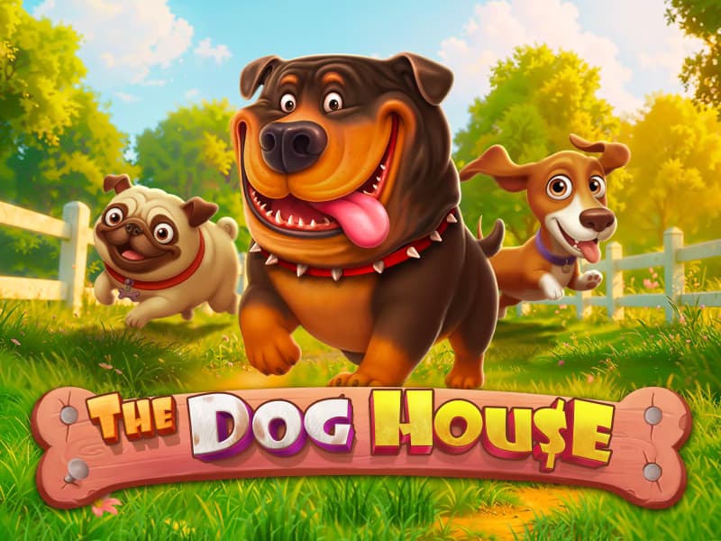 The Dog House